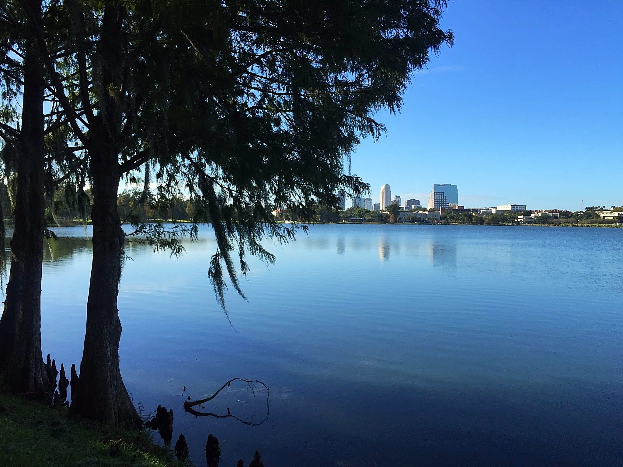 6 Orlando Neighborhoods for Millennial Home Buyers